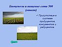 Биоценозы и пищевые сети 500 (ответ)