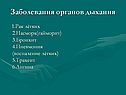 Заболевания органов дыхания