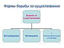 Формы борьбы за существование