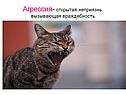 Агрессия- открытая неприязнь, вызывающая враждебность