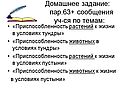 Домашнее задание