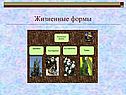Жизненные формы