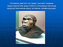 Человека умелого по праву считают первым представителем рода Homo и