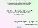 Чипсы