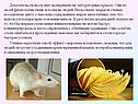 Эксперимент