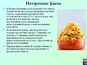 Интересные факты