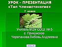Тип Членистоногие