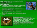 Цель урока: обобщить и систематизировать изученный материал