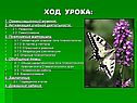 Ход урока