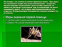 Меры оказания первой помощи