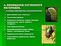 Обобщение изученного материала