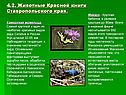 Животные Красной книги Ставропольского края