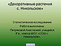 Декоративные растения