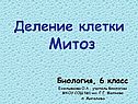Деление клетки Митоз