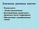 Значение деления клеток: