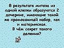 В результате митоза из одной клетки образуются 2 дочерние, имеющие