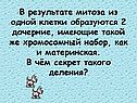 В результате митоза из одной клетки образуются 2 дочерние, имеющие