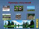 Примеры популяций