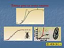 Типы роста популяции