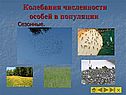 Колебания численности особей в популяции