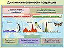 Динамика популяций