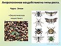 Антропогенное воздействие на типы роста