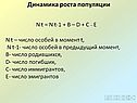 Динамика роста популяции