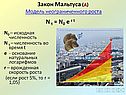 Закон Мальтуса