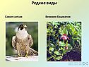 Редкие виды