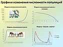 Графики изменения численности популяций