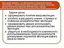 Задачи урока: сформировать понятие макроэволюция; углубить и расширить