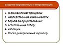 В основе лежат процессы: 1. наследственная изменчивость; 2. борьба за
