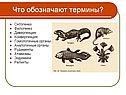 Что обозначают термины