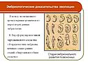 Эмбриологические доказательства эволюции