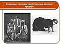 Атавизмы- признаки свойственные далеким предкам