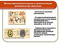 Молекулярно-биологические и цитологические доказательства эволюции