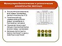 Молекулярно-биологические и цитологические доказательства эволюции