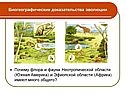 Биогеографические доказательства эволюции