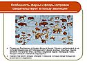 Особенность фауны и флоры островов свидетельствуют в пользу эволюции