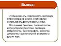 Вывод: