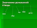 Значение домашней птицы