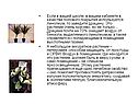 Линолеум