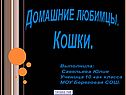 Домашние любимцы