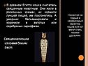 В древнем Египте кошка считалась священным животным