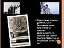 В некоторых странах для больных и бездомных кошек организованы приюты