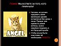 Помни! Мы в ответе за того, кого приручили