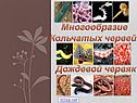 Многообразие кольчатых червей