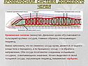 Кровеносная система