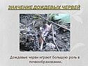 Значение