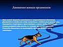 Движение живых организмов
